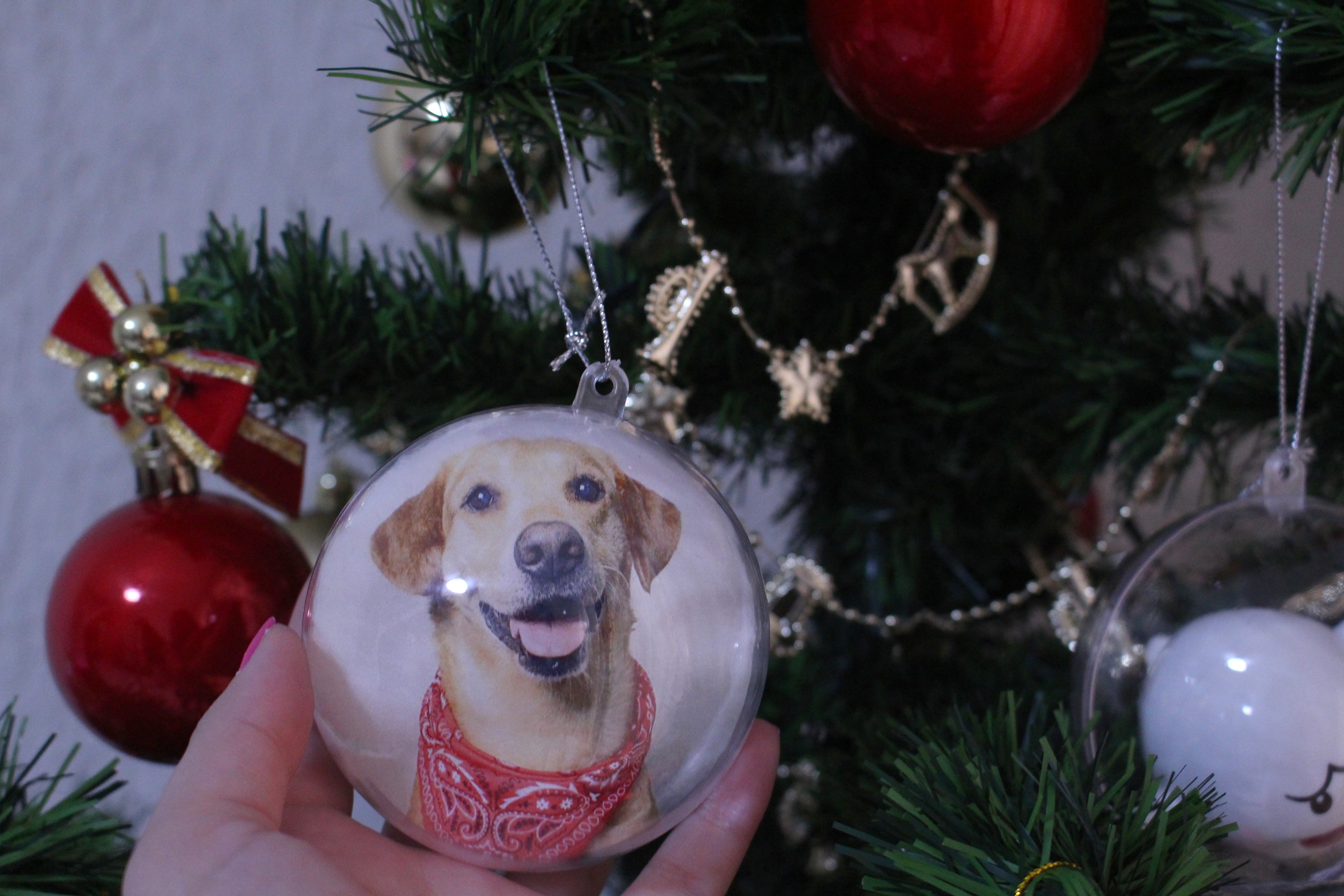 DIY: Bolas para Árvore de Natal personalizadas – Camila Kawaminami