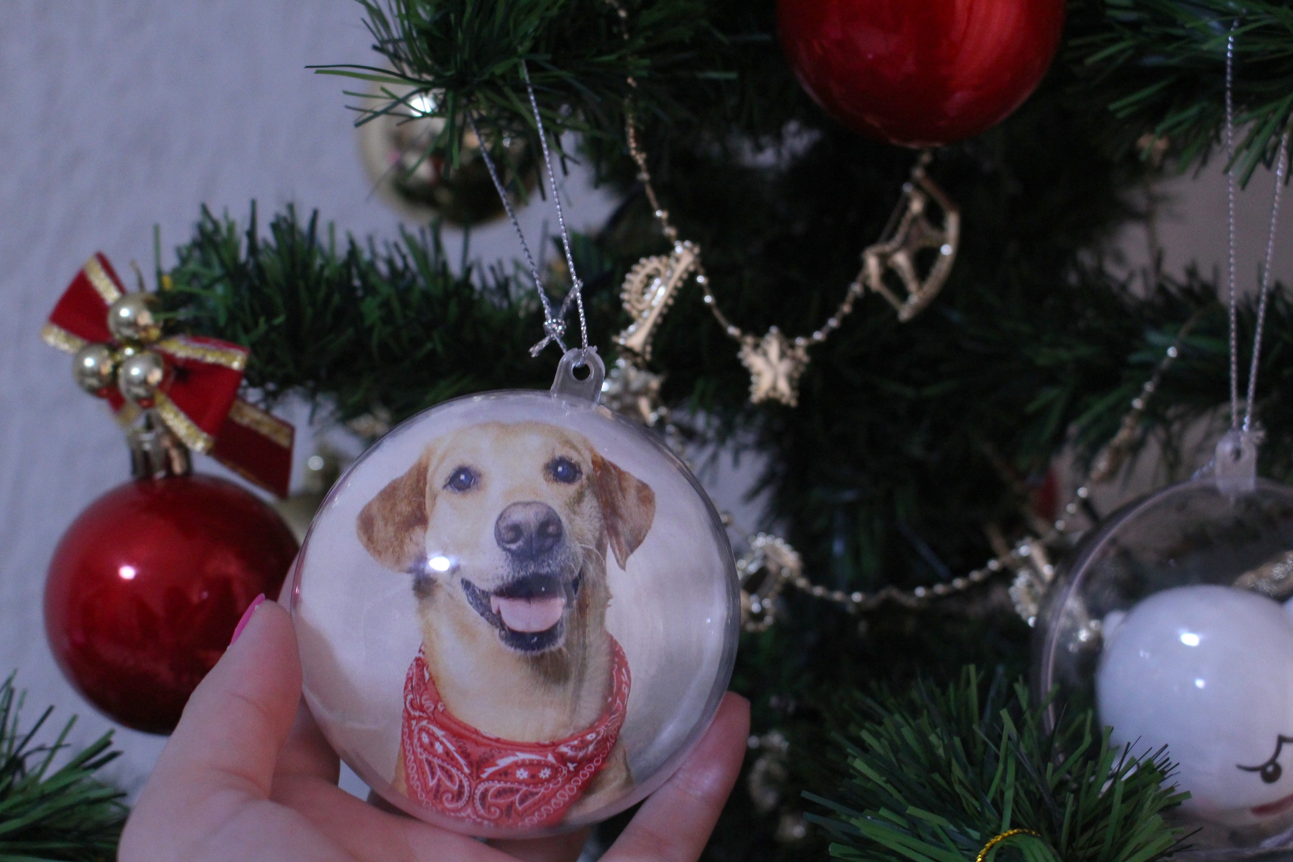 DIY: Bolas para Árvore de Natal personalizadas – Camila Kawaminami DIY: Bolas para Árvore de Natal personalizadas – Camila Kawaminami